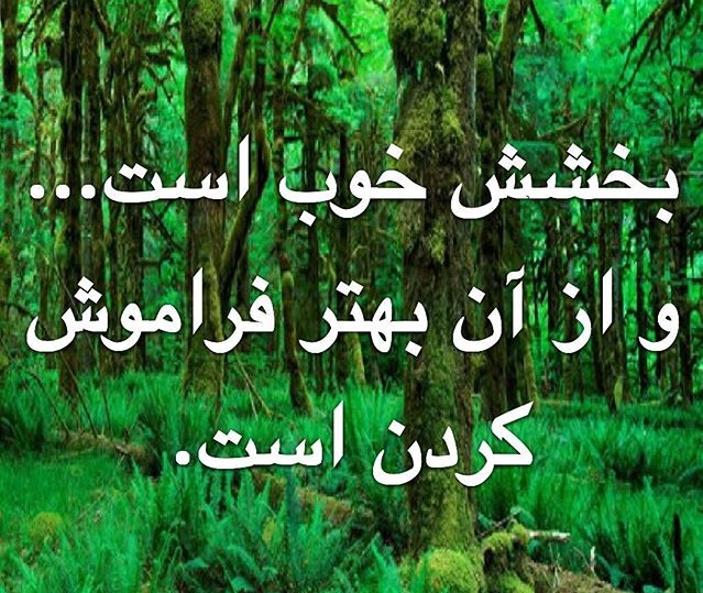 عفو و بخشش