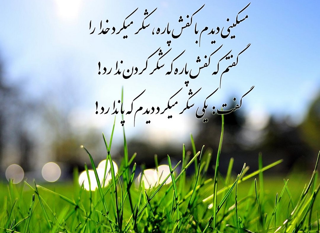 شکر نعمت
